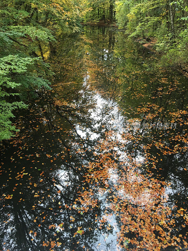 阿姆斯特丹bos de herfst